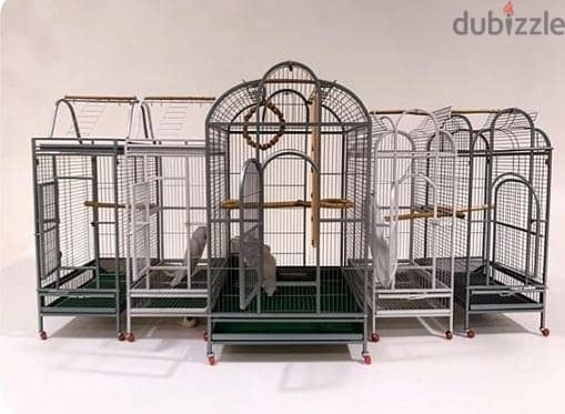 cages Parrot 6