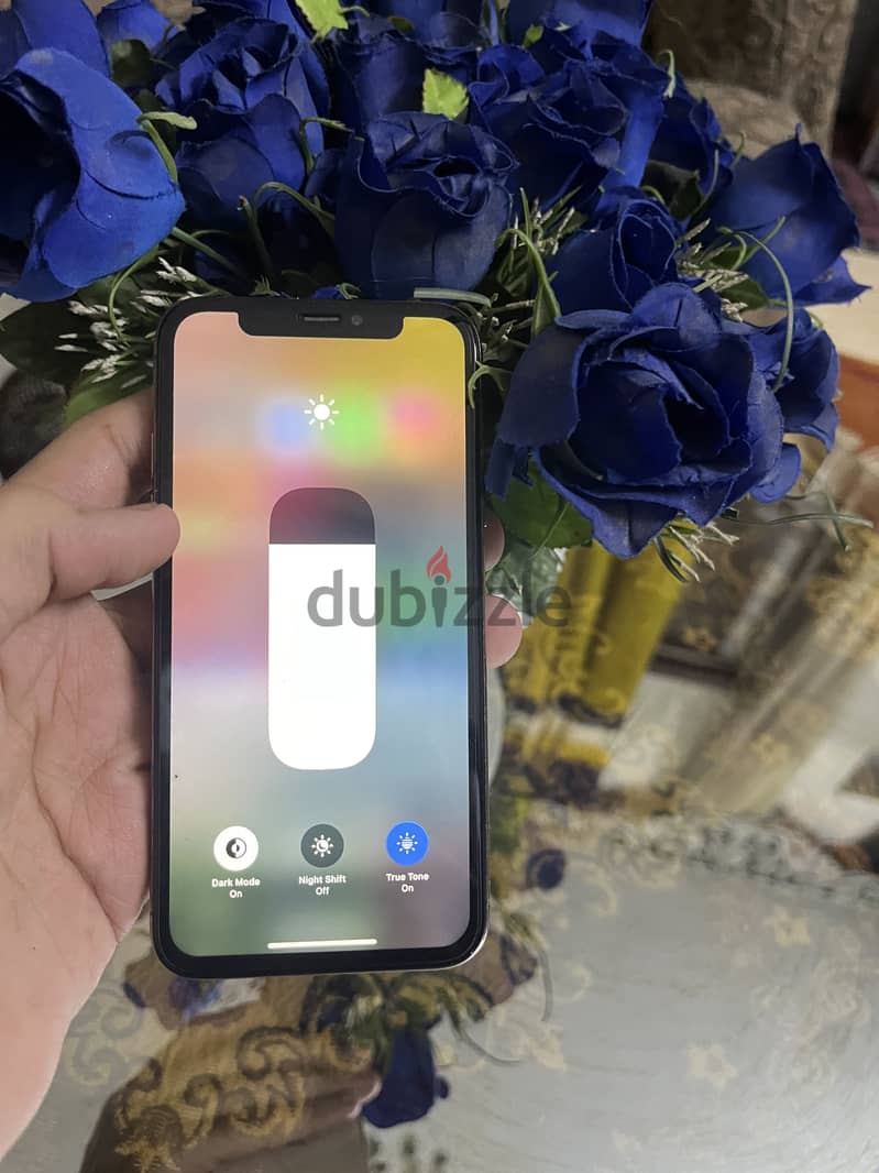 iPhone XS 256 4