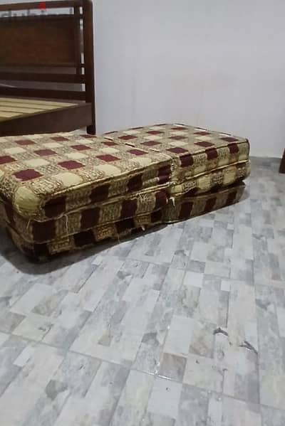 البيطاش بيانكى