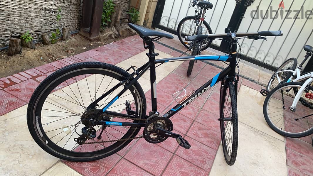 Trinx Free 2.4 1