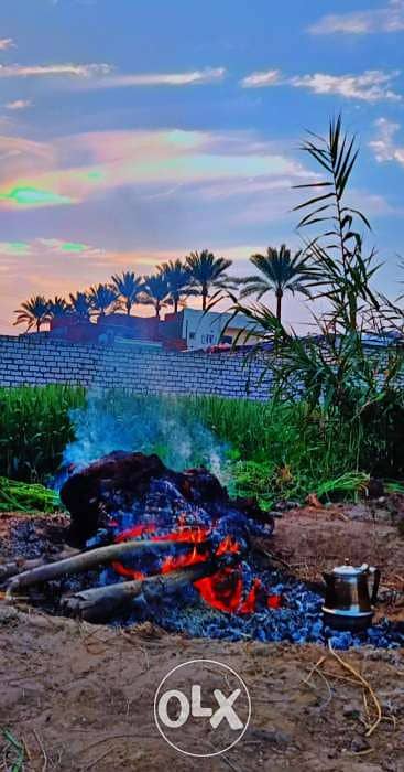 قطعه ارض زراعيه ومباني