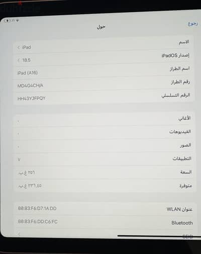 الزقازيق