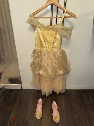 Disney dress