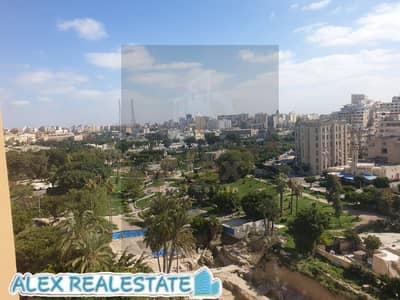 للايجار السكني في محطة الرمل شارع السلطان حسين بدواليب مطبخ