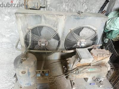 الاسكندريه العامريه