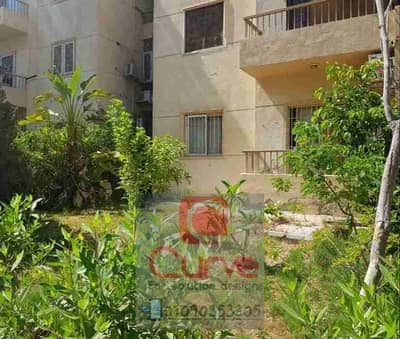 شقة للإيجار فاضيه في عمارات المستقبل بأرقى أحياء الشيخ زايد أرضي بحديقة مؤمنة حديد بالكامل سوبر لوكس