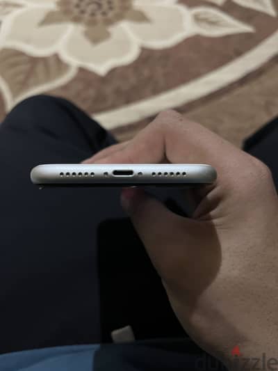 دمياط الجديده