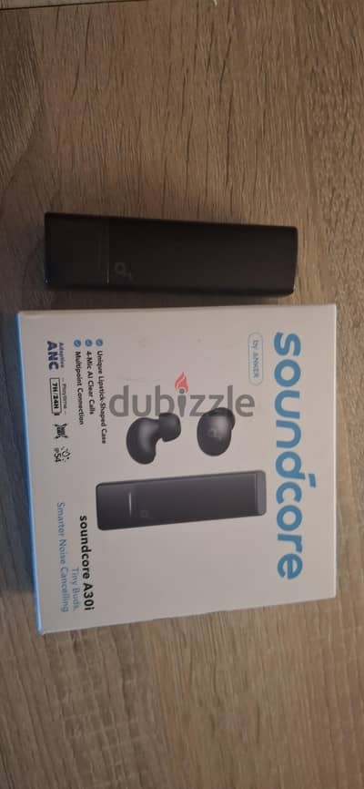 Anker soundcore a30i
