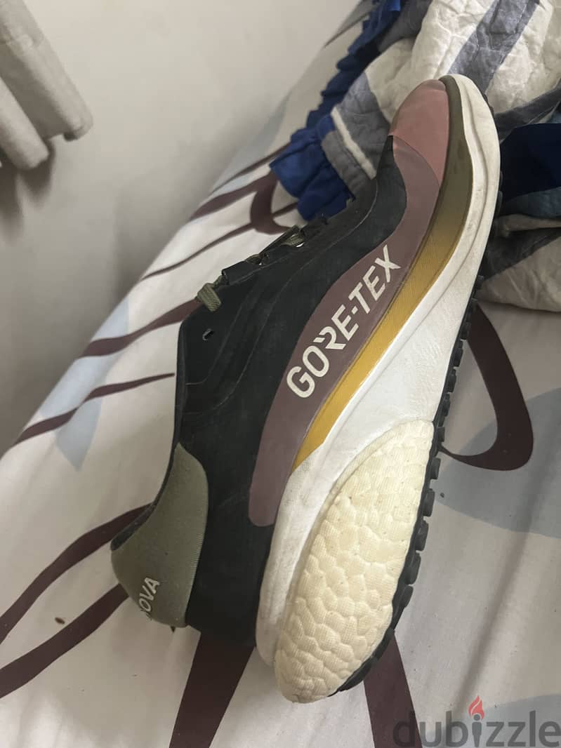 Adidas Gore-Tex Nova Running Shoe 1