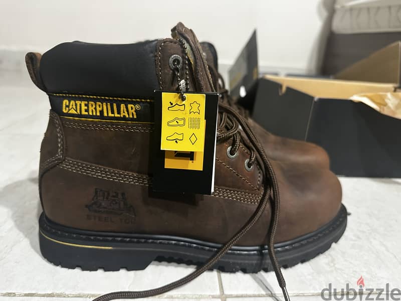 Caterpillar 3