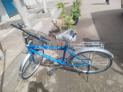 الاسكندريه شارع احمد ابوسليمان