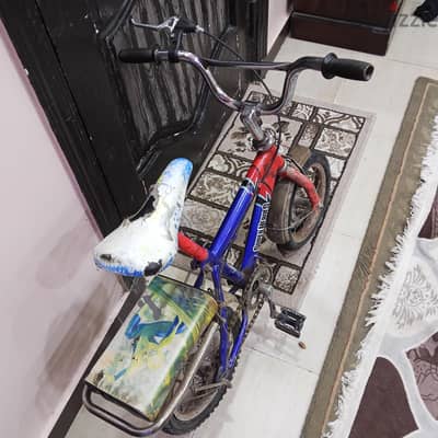 اسكندرية كوبري أبيس، أو عصافرة أو ميامي