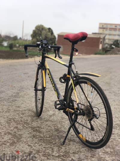 بنها القليوبية