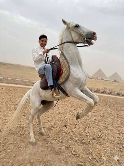 Nour