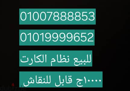 القاهرة