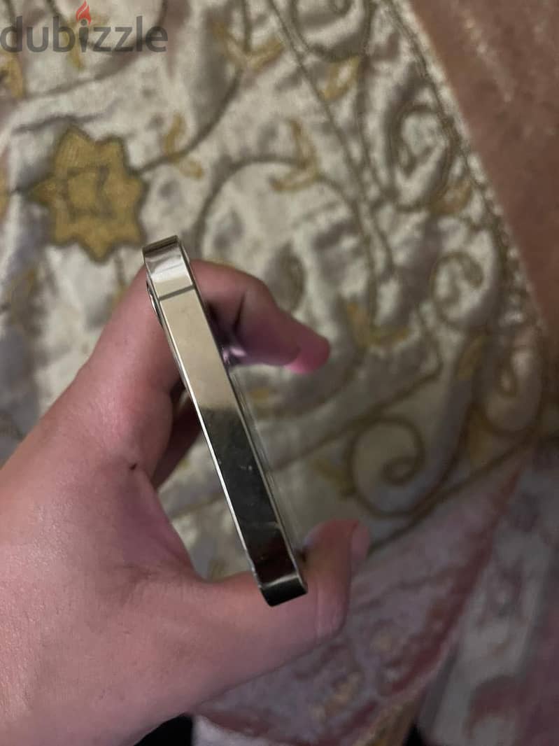 12 pro 256 2