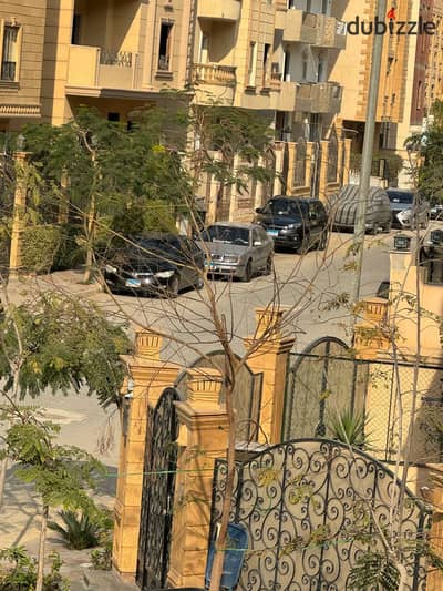 تيامو سيتي الشيخ زايد
