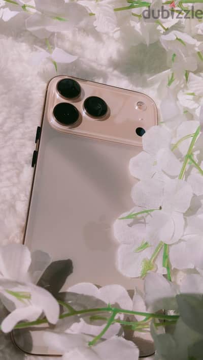 آبل - آيفون 17 برو ماكس