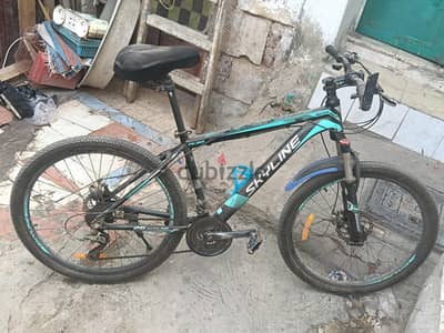 skyline bicycle