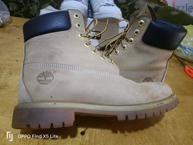 tampir land boot 5