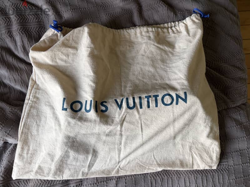 Loius Vuitton Never Full 2