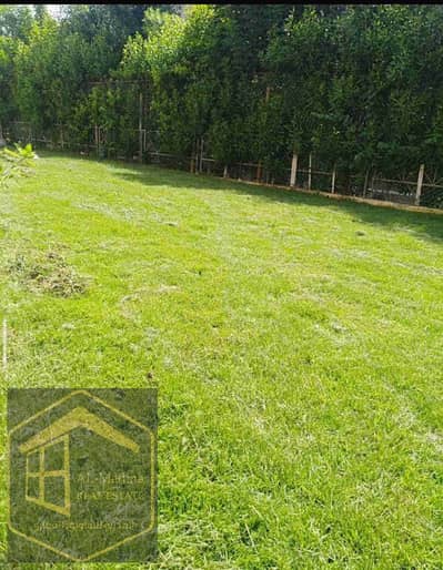  فيلا لايجار القانون بمدينتي نموذج Z    فيلا توين هاوس   تشطيبات خاصه   بالمطبخ      مساحة الارض:  470 متر   مساحة المباني: 290 متر   تنقسم فيلا الي:  ⏺الدور الارضي:  ريسبشن + مطبخ + حمام ضيوف + غرفه نوم + غرفه سائق جانبيه بالحديقه       ⏺الدو