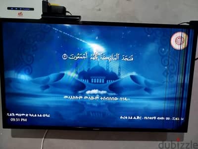عزبه الوالده شارع محمود مصطفى