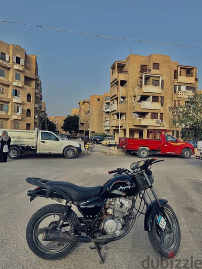 هوجن ٣ للبيع