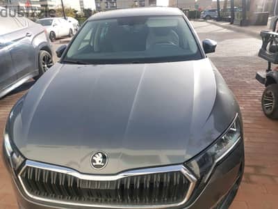 Skoda Octavia A8 2025\ سكواد اوكتافيا ايه 8 2025