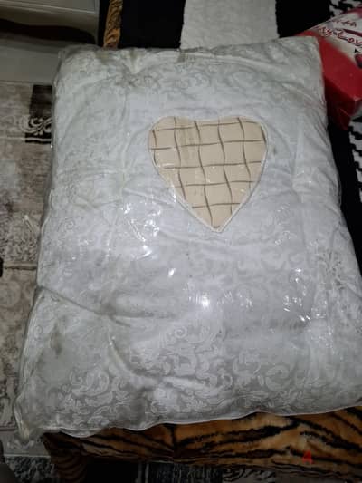 مرتبه بيبي