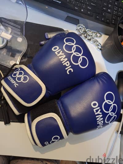 kickbox gloves  oz-8 (23)