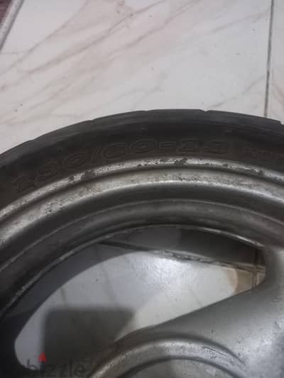 المنصورة