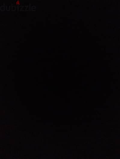 مطلوب بيتبول حايضه ف الأسكندريه للجواز