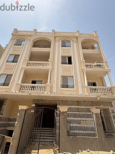 القاهرة الجديدة النرجس