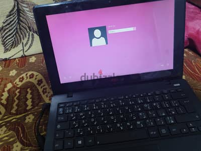 بنها القليوبية