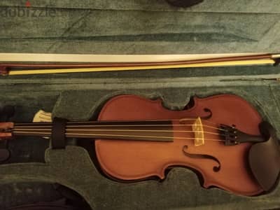 violin shelter New