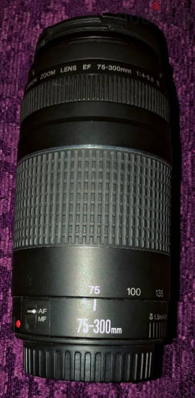 Canon EF 75-300mm f/4-5.6 III