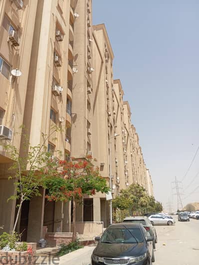 زهراء المعادي -ابراج المرشدي الشباب