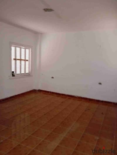 A real opportunity that will never happen again, a ground-floor apartment for rent for Cleopatra lovers directly on the tram, suitable for all purposes. . etc