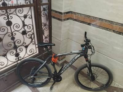 phoenix bike