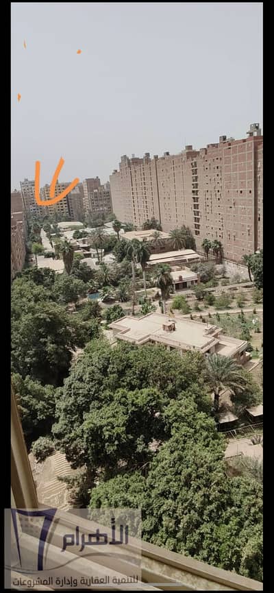 إكسترا سوبر لوكس 165م خلف كنتاكي بحسن محمد للبيع