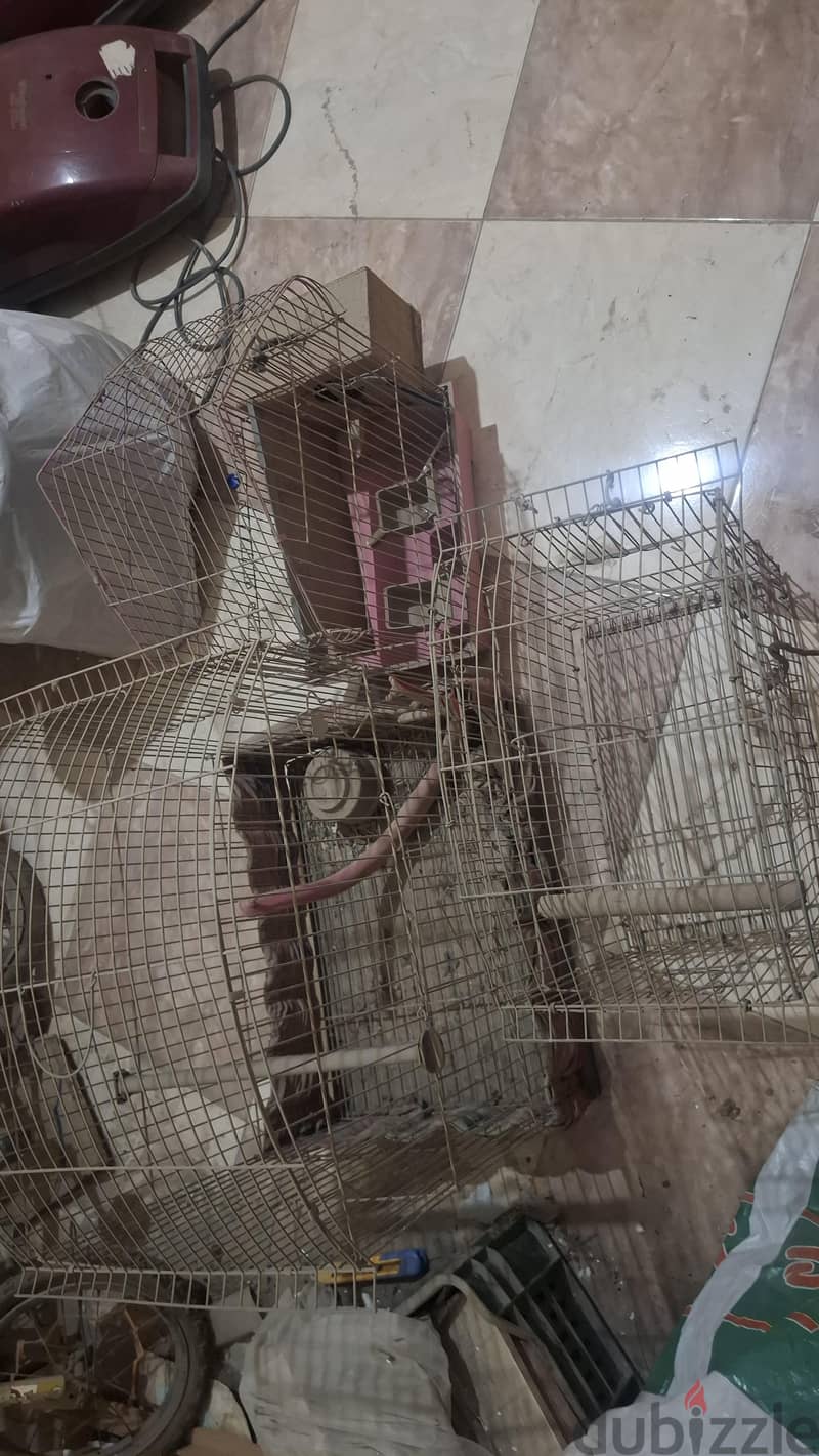 الهرم 1