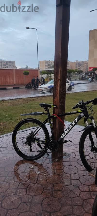 بورفؤاد