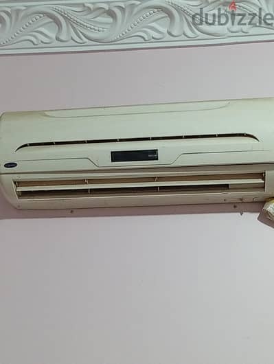 بنها القليوبيه