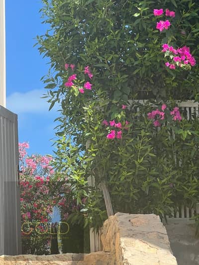 شاليه 3 غرف للايجار هسيندا باي الساحل الشمالي