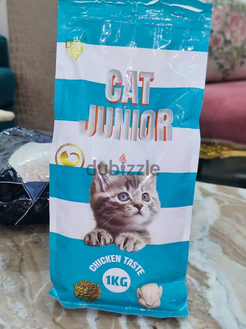 cat accessories 1