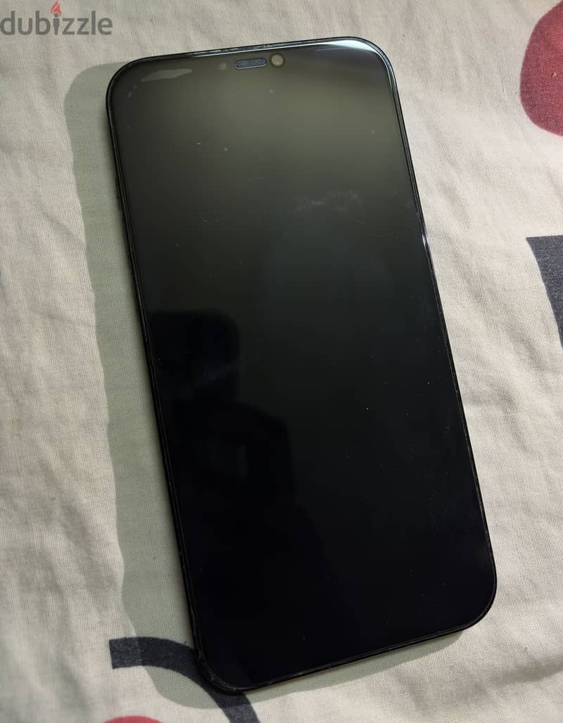 12 pro max 5