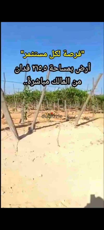 مزرعه متكاملة مساحتها الإجمالية ٢١٥. ٥ فدان غرب النوبارية   بجوار مزرعة هشام وطارق طلعت مصطفى   وبجوار مزرعة شركة ليمار و  شركة الروضه لاستصلاح الاراضى والاعلاف