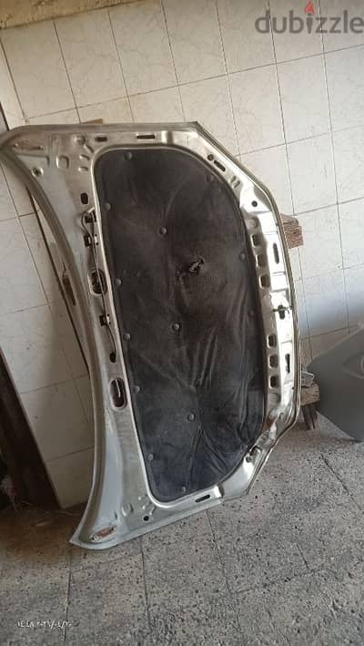 كبوت. .
