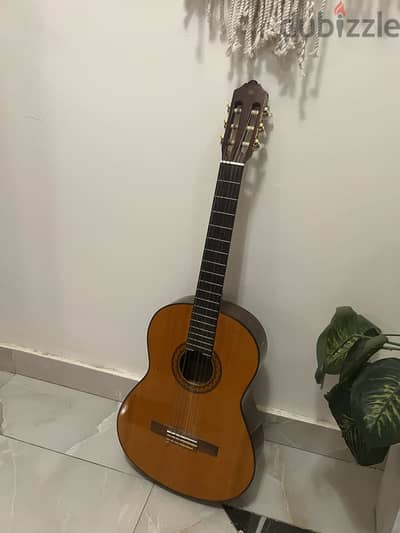 Yamaha c70